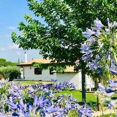 La Collina Delle Fonti